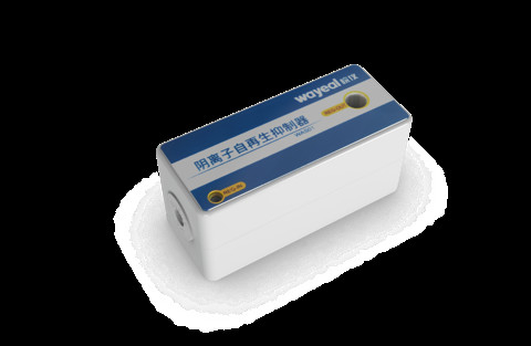 IC6200 PEEK Máy đo nhiễm sắc thể trao đổi ion bơm để phân tích anion hoặc cation