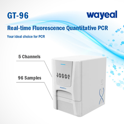 Kiểm tra nhanh Máy phân tích PCR định lượng huỳnh quang thời gian thực 96 giếng 5 kênh