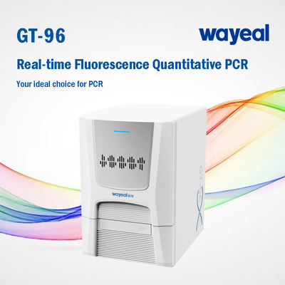 Wayeal Clinical Medical Real Time Pcr Analyzer For Nucleic Acids Testing